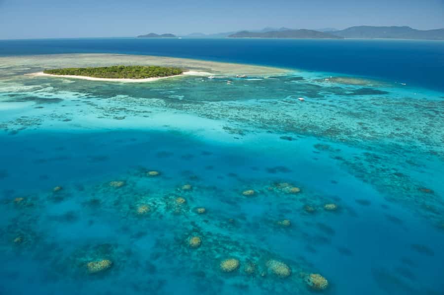From Cairns: Full-Day Green Island Cruise - Key Points You’ll Care About on This Green Island Day