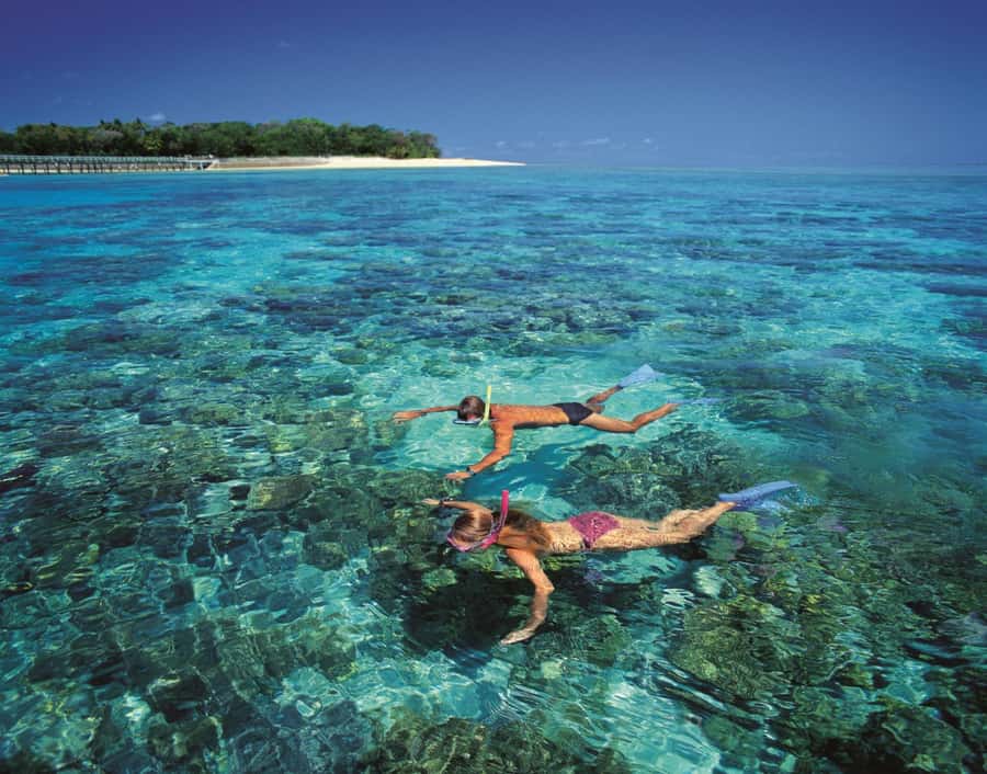From Cairns: Full-Day Green Island Cruise - Green Island and the Reef, Without Making It Complicated
