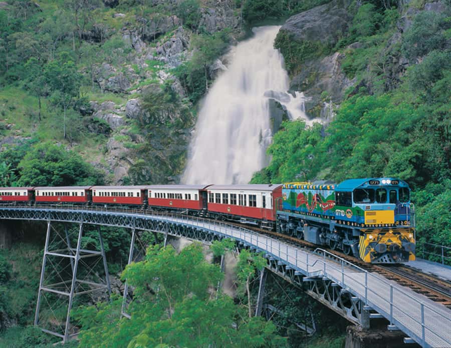 From Cairns: Full-Day Kuranda Army Duck Experience Tour - Army Duck land and water: wildlife spotting and guide-led rainforest learning