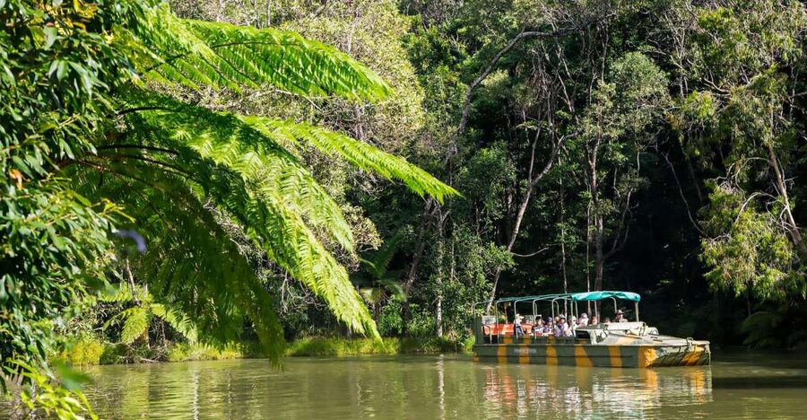From Cairns: Full-Day Kuranda Army Duck Experience Tour - Tropical Treats fruit orchard: the small stop that helps the whole day feel human