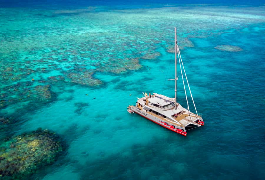 From Cairns: Great Barrier Reef Cruise by Premium Catamaran - Key highlights I’d build your day around