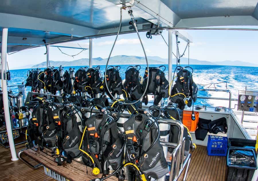 From Cairns: Great Barrier Reef Cruise by Premium Catamaran - Who should book this, and who should rethink it