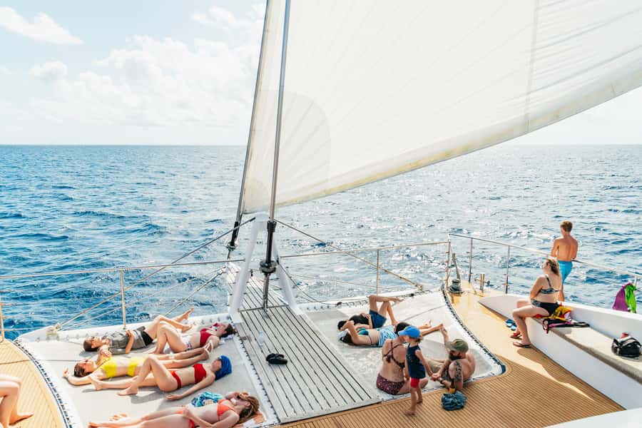 From Cairns: Great Barrier Reef Cruise by Premium Catamaran - What you’re really buying on a 9-hour outer reef cruise
