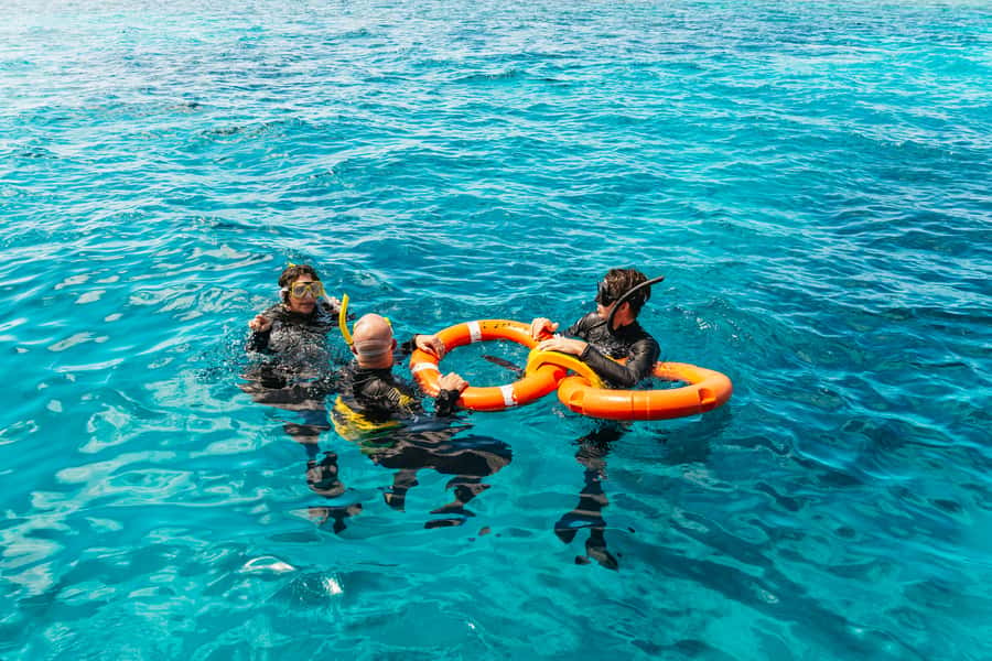 From Cairns: Great Barrier Reef Cruise by Premium Catamaran - How they choose Flynn and Milln, Norman, and Hastings (and why it matters)