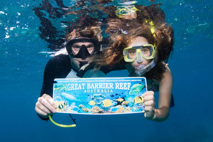From Cairns: Great Barrier Reef Cruise by Premium Catamaran - Second reef session and the optional intro scuba realities