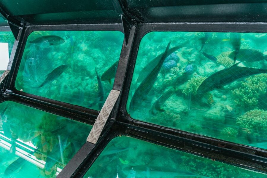 From Cairns: Green Island Full-Day Cruise - Meeting point and timing, the two things that shape your whole day