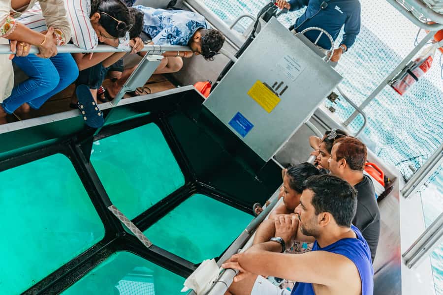 From Cairns: Green Island Full-Day Cruise - Price and value: where the $77 really makes sense