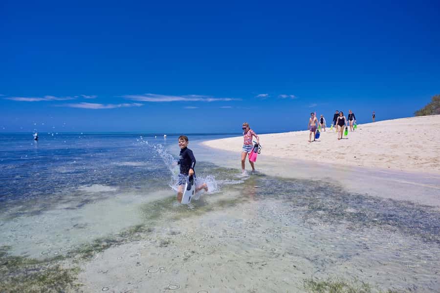 From Cairns: Green Island Full-Day Cruise - Who should book this cruise