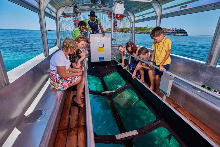 From Cairns: Green Island Half-Day Morning Cruise - The pool bar and what to plan for with food and drinks