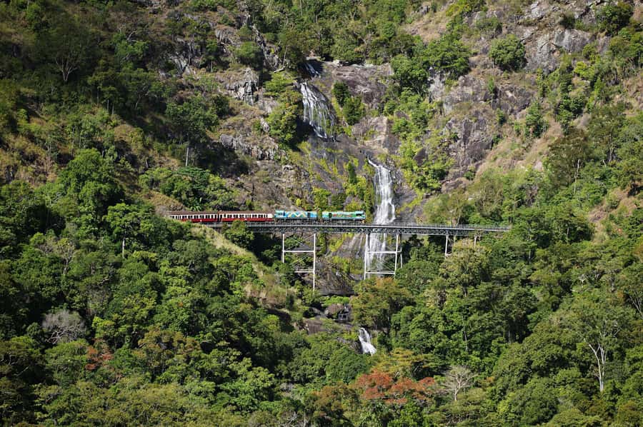 From Cairns: Kuranda Tour with Transfer - The Kuranda Boarding Pass, Pre-Allocated Tickets, and Less Headache