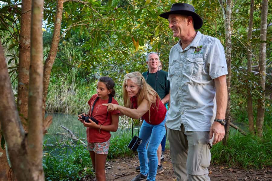 From Cairns: Rainforest & Nocturnal Wildlife Tour - Getting from Cairns to the Tablelands, then into darkness