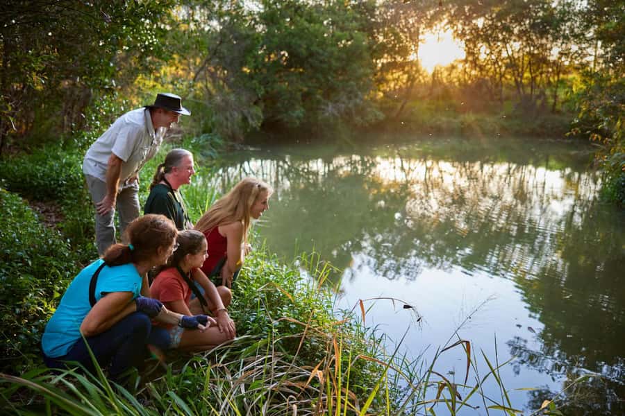 From Cairns: Rainforest & Nocturnal Wildlife Tour - Yungaburra platypus viewing and why the odds matter