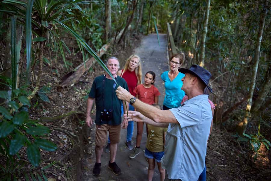 From Cairns: Rainforest & Nocturnal Wildlife Tour - Price and value: where the $155 makes sense