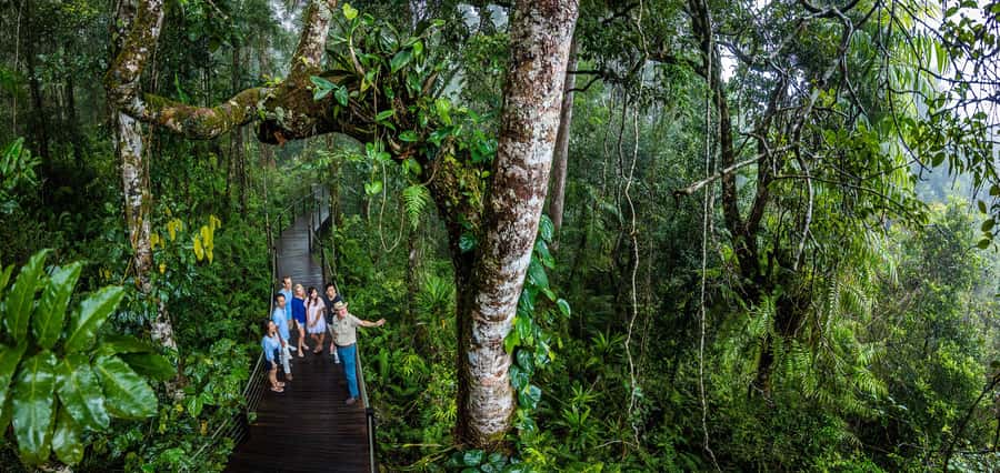 From Cairns: Self-Guided Kuranda Trip with Train and Skyrail - Who this trip is best for, and who should think twice