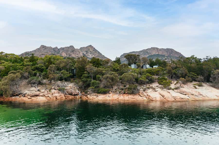 From Coles Bay: Wineglass Bay Cruise with Lunch - Wildlife spotting: dolphins, seals, whales, and seabirds in motion