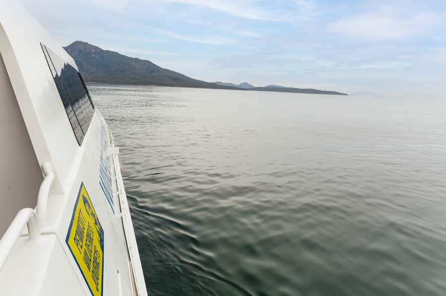 From Coles Bay: Wineglass Bay Cruise with Lunch - Lunch on board: Ploughman-style boxed bento and the bar for drinks