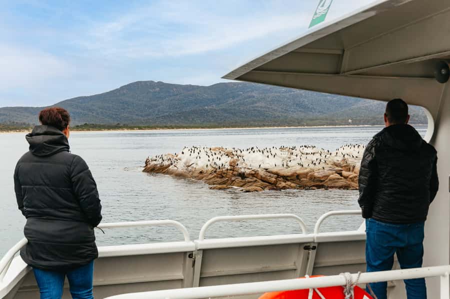 From Coles Bay: Wineglass Bay Cruise with Lunch - Onboard commentary: how the guide makes the scenery make sense