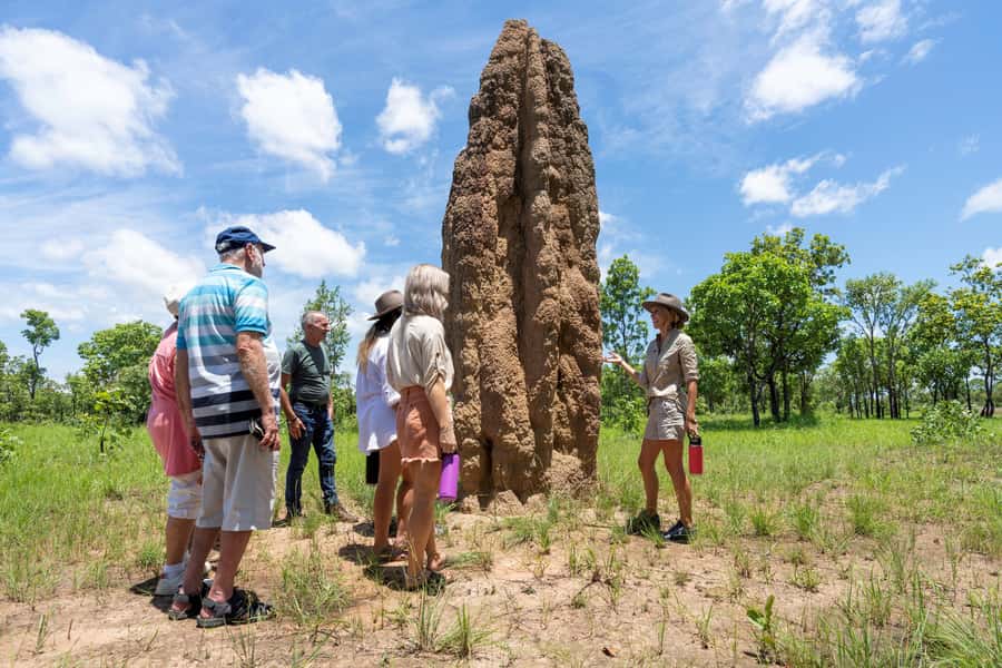 From Darwin: 3-Day Kakadu and Litchfield 4WD Camping Tour - A 3-day 4WD camp plan that actually makes sense