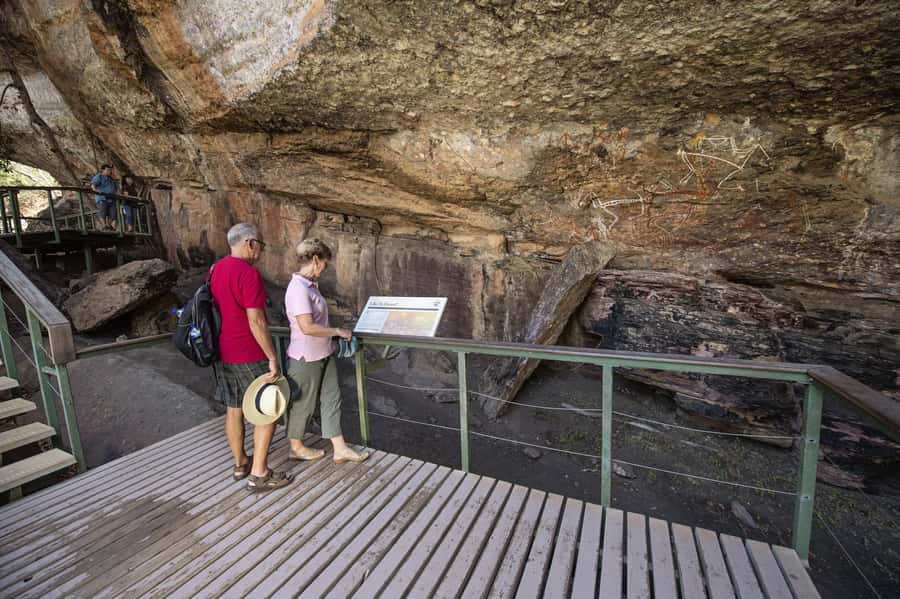 From Darwin: Kakadu National Park Full Day Tour - Best for families, groups, and wildlife and culture first-timers