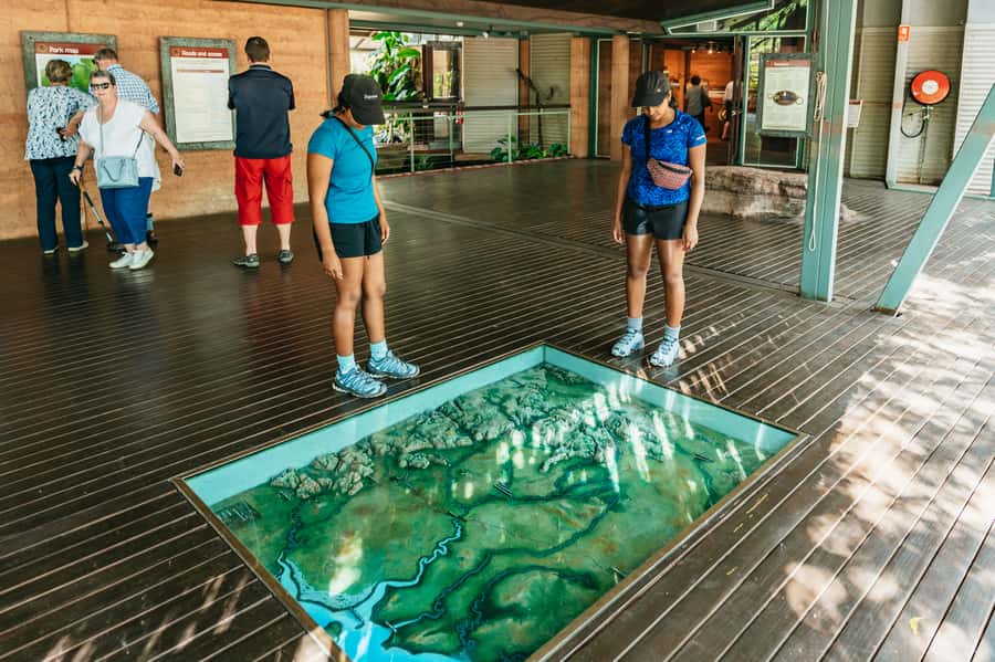 From Darwin: Kakadu Wilderness Escape Day Tour - Cahills Crossing: The Crocodiles, The Water, The Safe Viewing