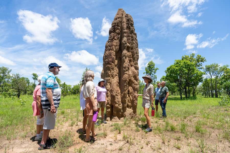 From Darwin: Litchfield National Park Day Trip - From Darwin to Litchfield: the Top End in fast-forward