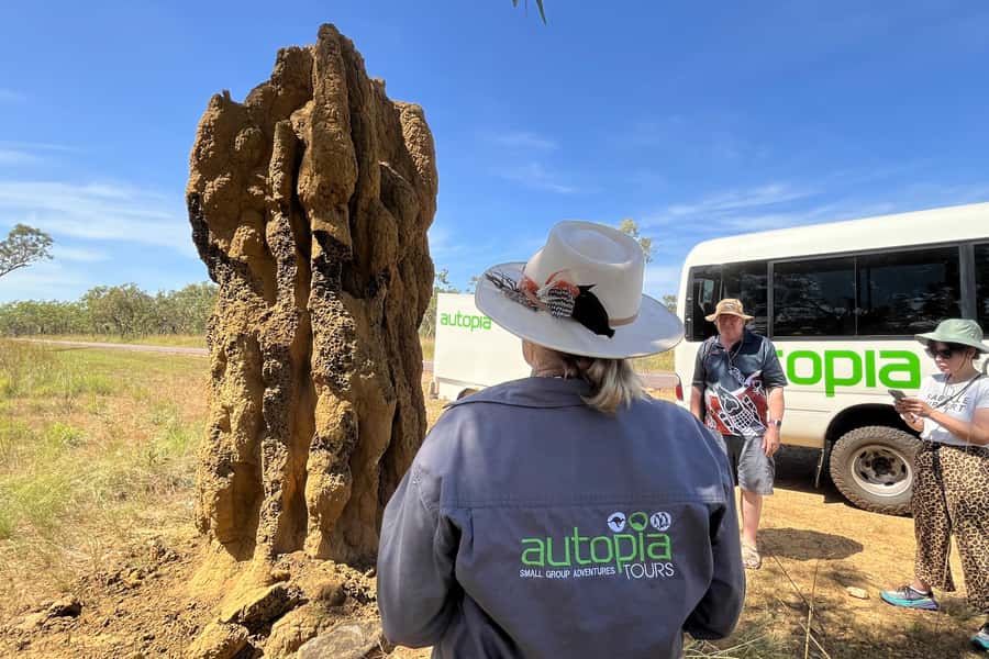 From Darwin: Litchfield National Park Day Trip - How the tour stays smooth: minibus comfort, water, and real guide time