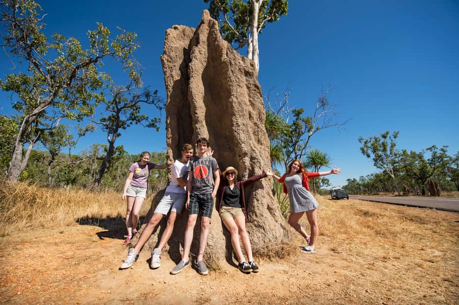 From Darwin: Litchfield National Park Full Day Tour - Key things to know before you go