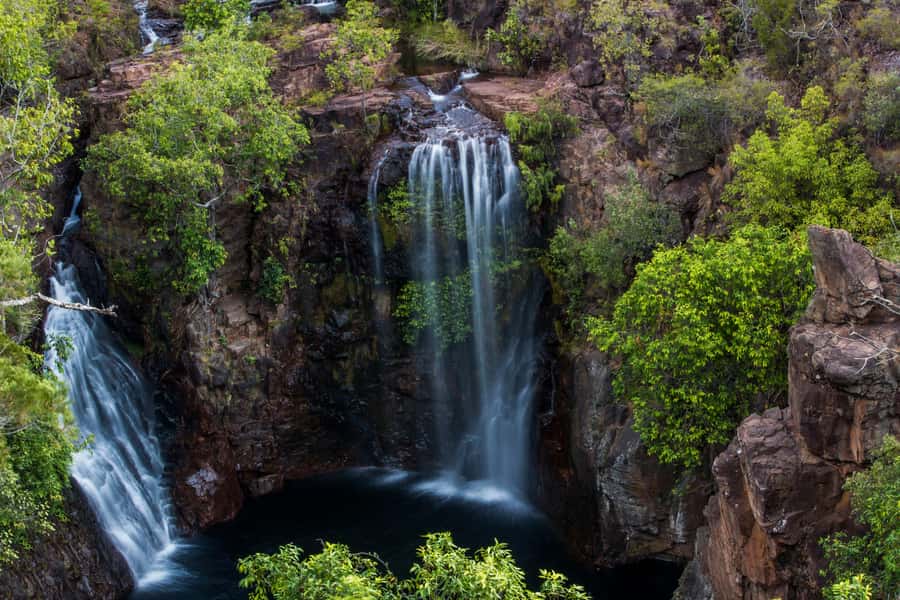 From Darwin: Litchfield National Park Full Day Tour - Darwin to Litchfield: leaving the heat, finding the cool