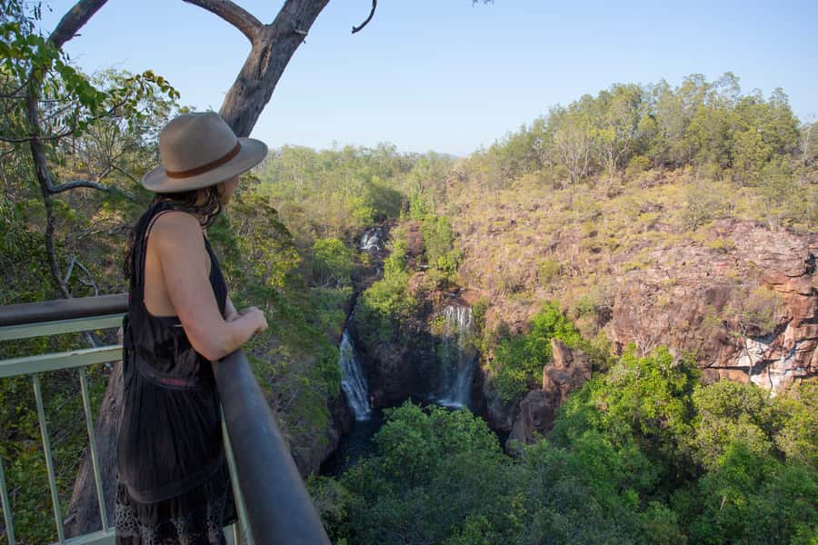 From Darwin: Litchfield National Park Full Day Tour - Choosing between Adelaide River crocs and Fogg Dam wetlands