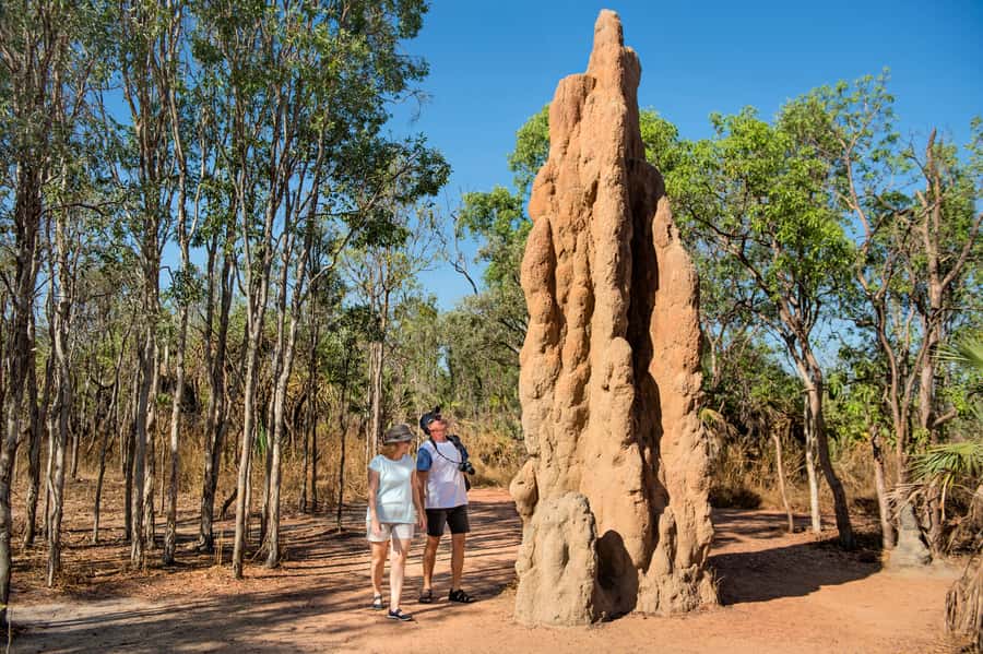 From Darwin: Litchfield National Park Full Day Tour - Price and value, plus what costs extra