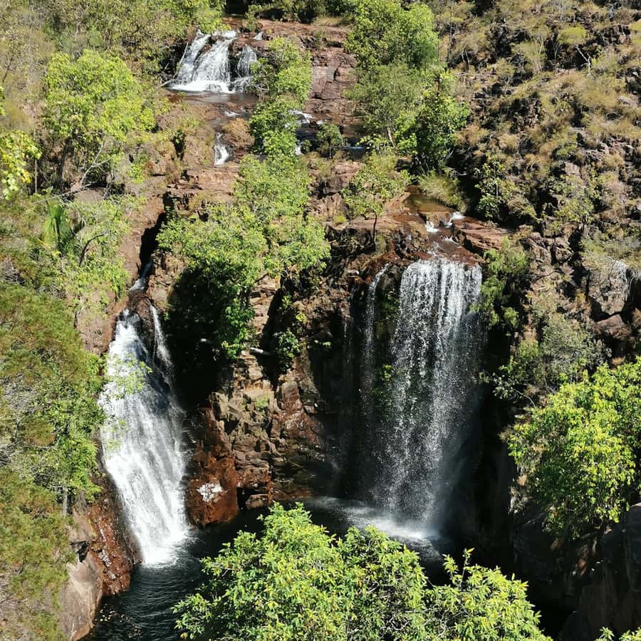 From Darwin: Litchfield National Park Small-Group Day Trip - Key Points at a Glance