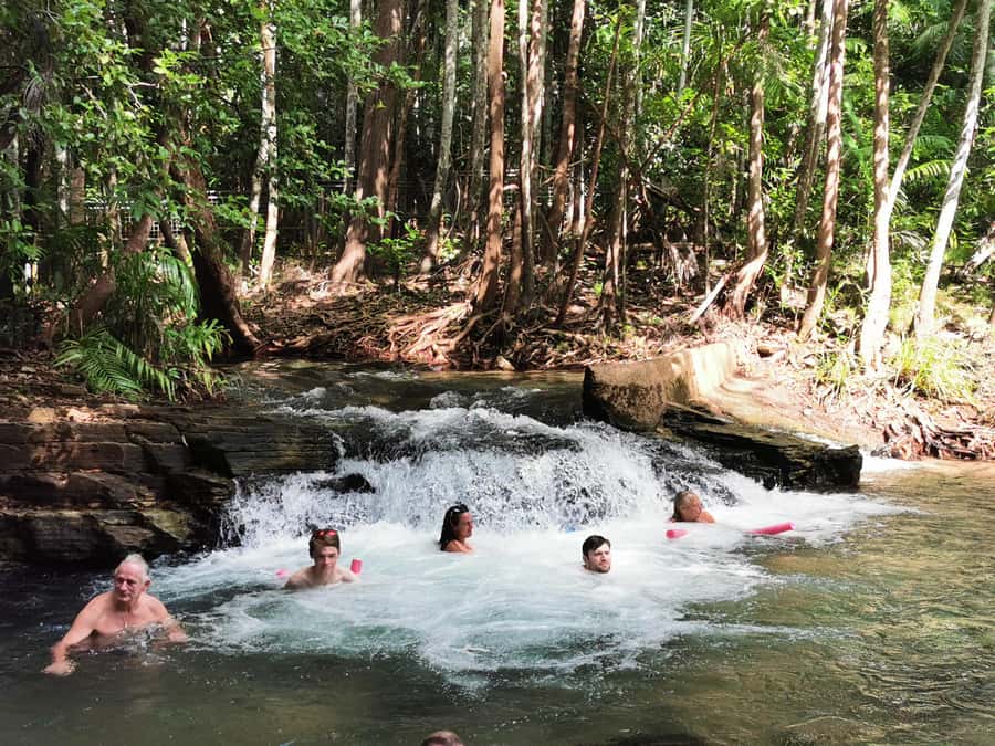 From Darwin: Litchfield National Park Small-Group Day Trip - Transportation Comfort and How the Small Group Changes Everything