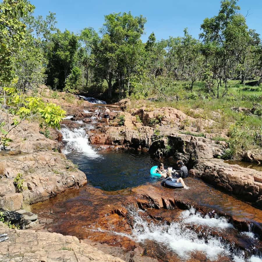 From Darwin: Litchfield National Park Small-Group Day Trip - Why This Litchfield Day Trip Works From Darwin