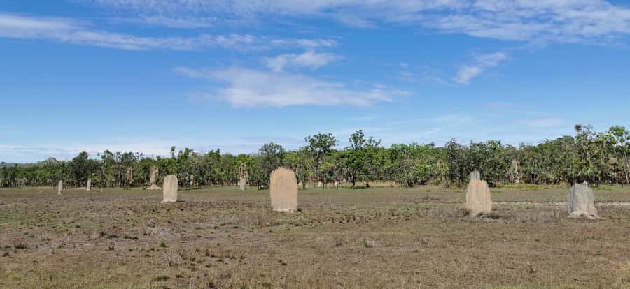 From Darwin: Litchfield National Park Small-Group Day Trip - Berry Springs: Warm Water Drift Finish (When It’s In Season)