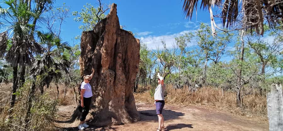 From Darwin: Litchfield National Park Small-Group Day Trip - Hotel Pickup and the Morning Route to Batchelor