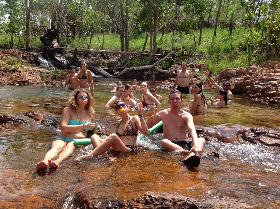 From Darwin: Litchfield Park Tour & Jumping Crocodile Cruise - Key highlights worth waking up for