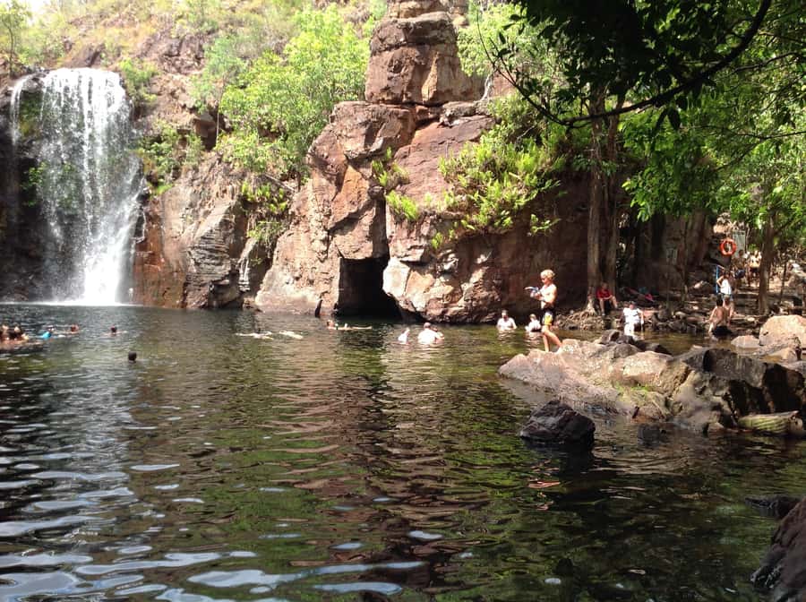 From Darwin: Litchfield Park Tour & Jumping Crocodile Cruise - Darwin to Litchfield National Park: the day plan and pacing