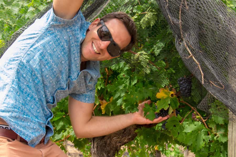 From Dunsborough/Busselton: Margaret River Wine Adventure - Wine Blending Experience, Where You Learn by Doing