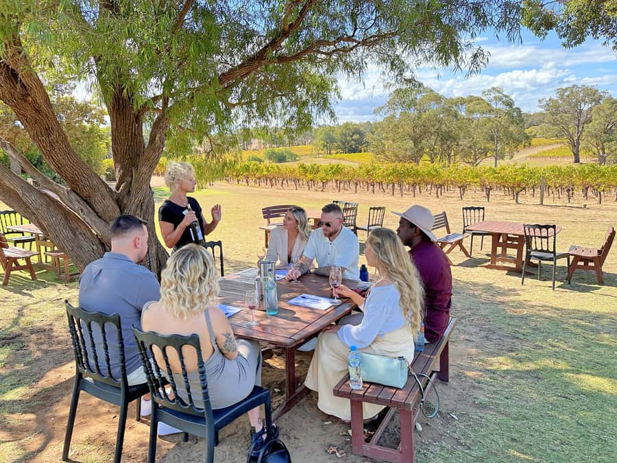 From Dunsborough/Busselton: Margaret River Wine Adventure - Price, Drinks Included, and What You Get for $123