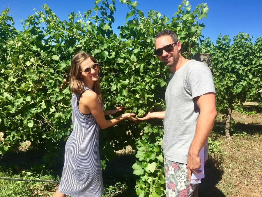 From Dunsborough/Busselton: Margaret River Wine Adventure - Guides Matter, and This One Has a Strong Track Record
