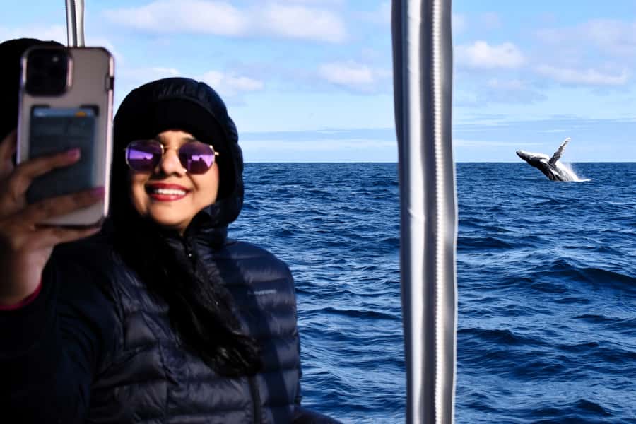 From Fremantle: 2-Hour Luxury Whale-Watching Cruise - Your 2-Hour Window For Humpbacks From Fremantle