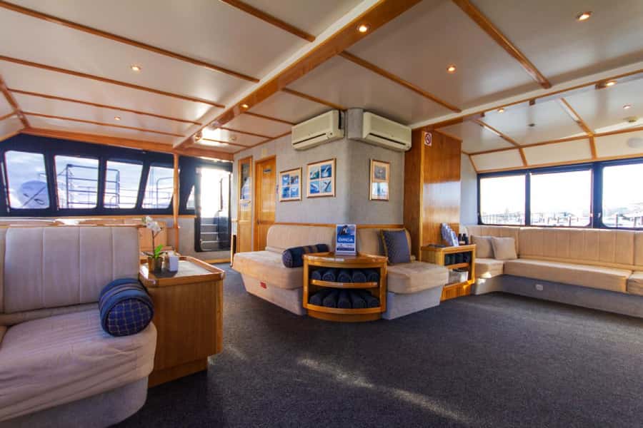 From Fremantle: 2-Hour Luxury Whale-Watching Cruise - Price and Value: Does $67 Make Sense for a Luxury Whale Watch?