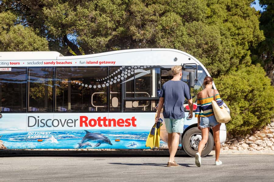 From Fremantle: Rottnest Island Ferry & Bus Day Tour - Who this Rottnest ferry and bus tour suits best