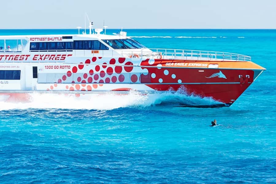 From Fremantle: Rottnest Island Ferry & Bus Day Tour - Rottnest Island day trip: what the tour day feels like