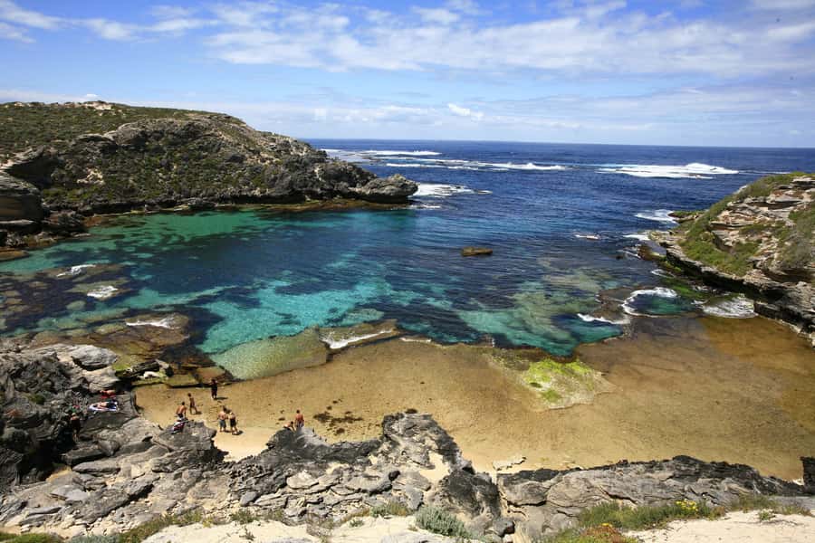 From Fremantle: Rottnest Island Ferry & Bus Day Tour - The 90-minute Discovery Coach tour: comfort, timing, and how it helps
