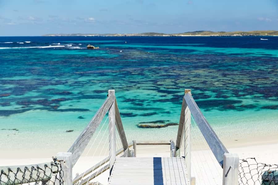 From Fremantle: Rottnest Island Ferry & Bus Day Tour - Price and value: is $112 a good deal?