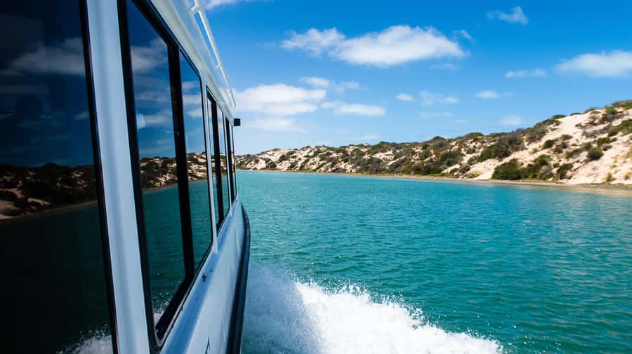 From Goolwa: Half-Day Coorong Experience - Quick highlights
