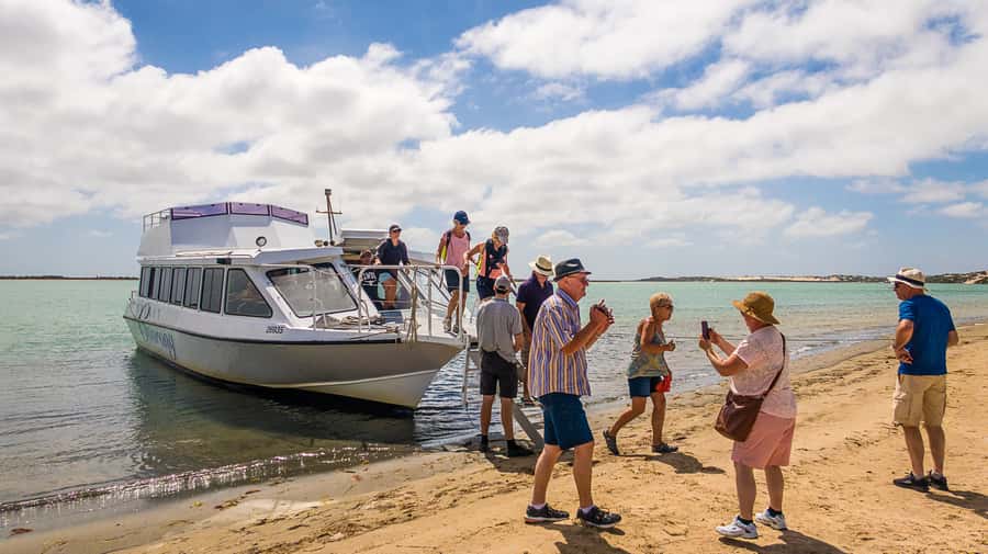 From Goolwa: Half-Day Coorong Experience - Along the Coorong waterways: seals, bird-life, and guided spotting