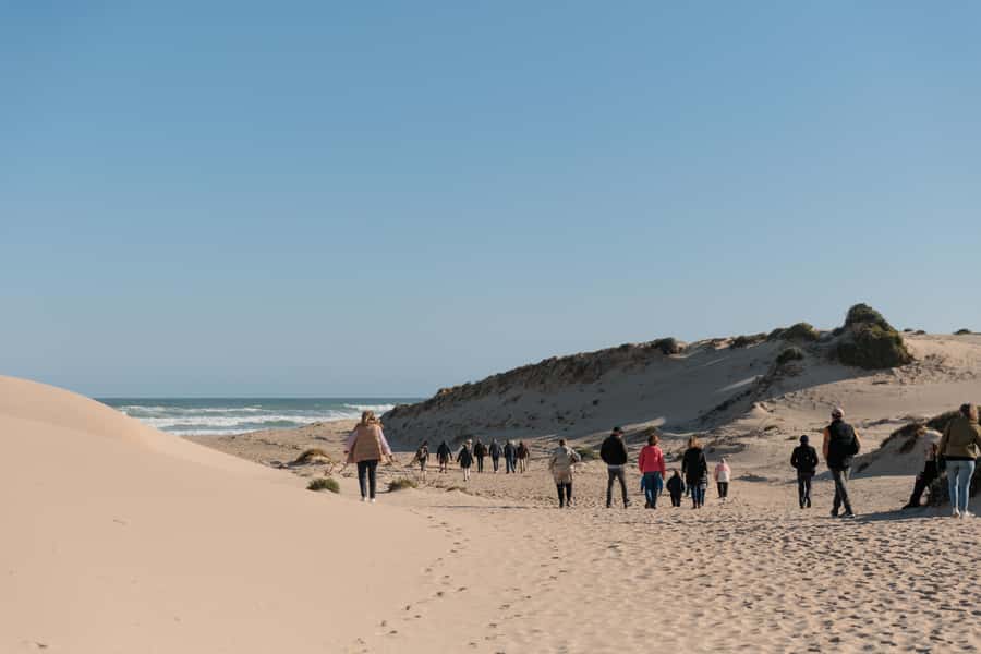 From Goolwa: Half-Day Coorong Experience - Should you book? My honest take