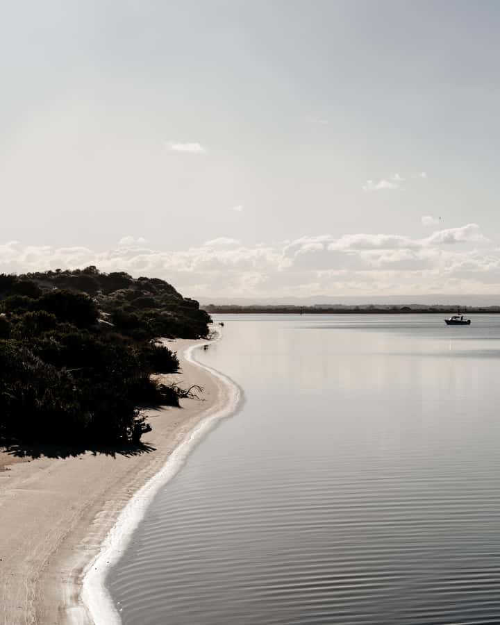 From Goolwa: Murray Mouth Cruise - Price and value: is $42 per person a good deal here?